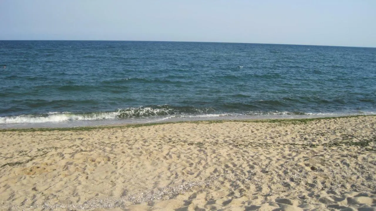 Guest House Palma Golden Sands 0*,  Bulgaria